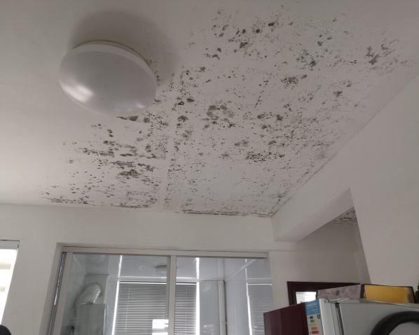 深化黨建推動引領，提升租戶居住幸福指數(shù)